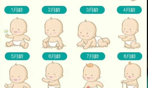 健骨液价格是多少网 | 健骨液价格是多少一瓶,健骨液一般建议不打吗